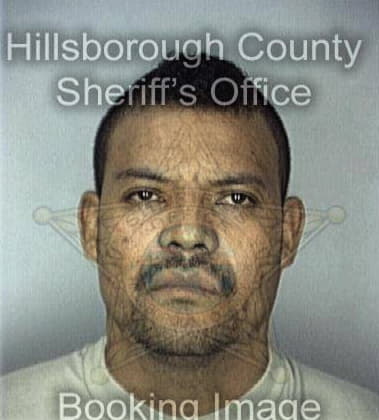Danny Wilcox - Hillsborough County, FL 
