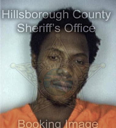 Robert Wilhes - Hillsborough County, FL 