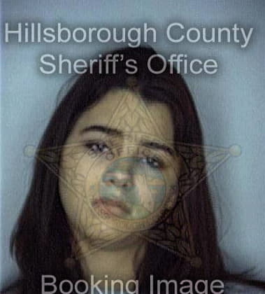 Shaun Wilkinson - Hillsborough County, FL 