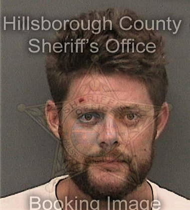 Bijan Adib, - Hillsborough County, FL 