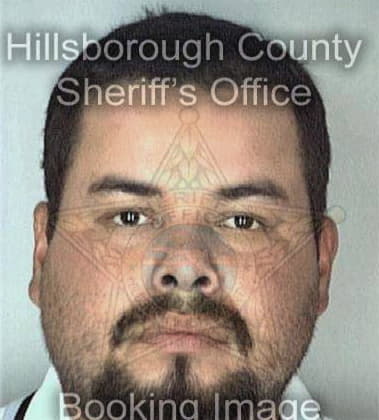 Don Bizzieri - Hillsborough County, FL 