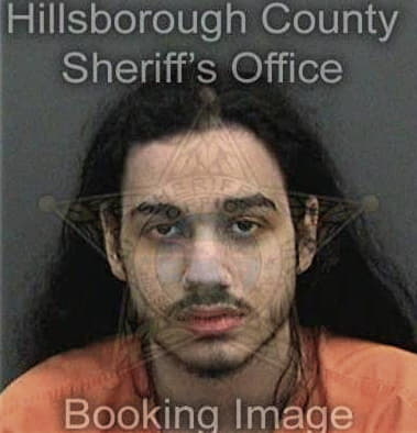 Wilson Carrasquilloflores, - Hillsborough County, FL 