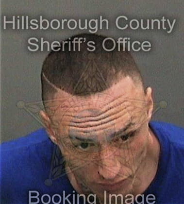 Leif Causey, - Hillsborough County, FL 