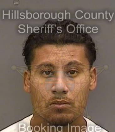 Juan Garcia, - Hillsborough County, FL 