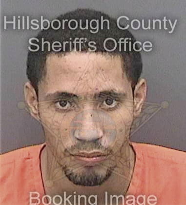 Jeffrey Higgins, - Hillsborough County, FL 