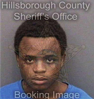 Xavier Michell - Hillsborough County, FL 