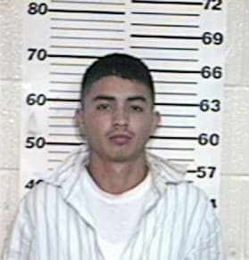 Nayel Pruneda, - Hidalgo County, TX 