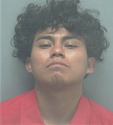 Juan Roman, - Lee County, FL 