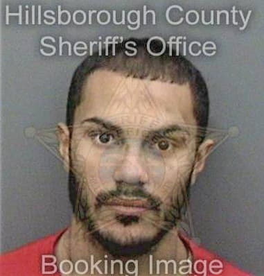 Mauricio Aceves, - Hillsborough County, FL 