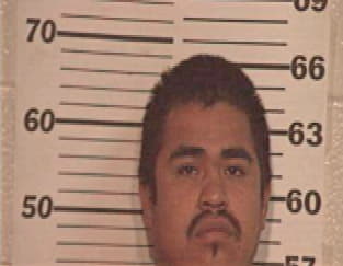 Ivan Castillo, - Hidalgo County, TX 