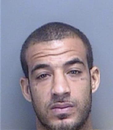 Hugues Louis, - Pinellas County, FL 