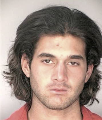 Michael McCain - Hillsborough County, FL 