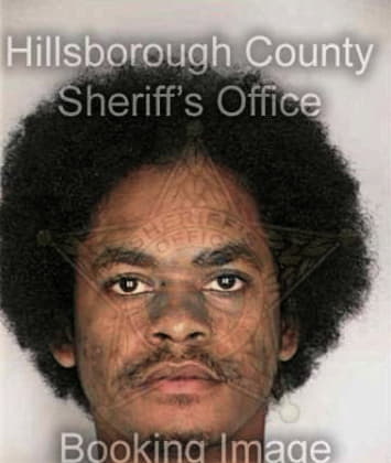 Ralph Mitchell - Hillsborough County, FL 