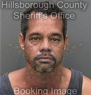 Christian Pinedabeltran, - Hillsborough County, FL 