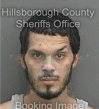 Christopher Raymer, - Hillsborough County, FL 