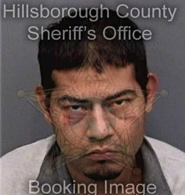 Tyler Robertson - Hillsborough County, FL 