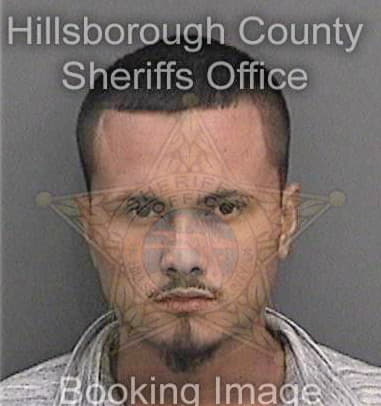 Tyler Teegardin, - Hillsborough County, FL 