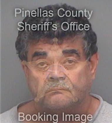 Michael Willas, - Pinellas County, FL 