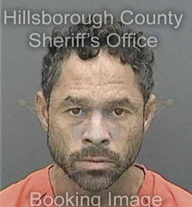 Javier Dejesushoms, - Hillsborough County, FL 