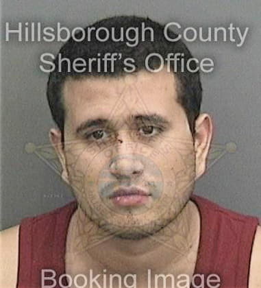 Teofilo Deleon, - Hillsborough County, FL 