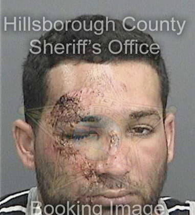 Joshua Hooks, - Hillsborough County, FL 