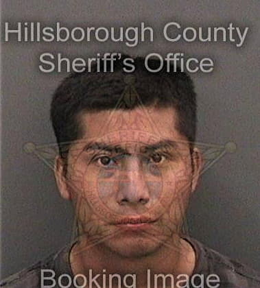 Joseph Melendezvazquez - Hillsborough County, FL 