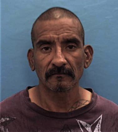 Jose Molina-Portillo, - Guadalupe County, TX 