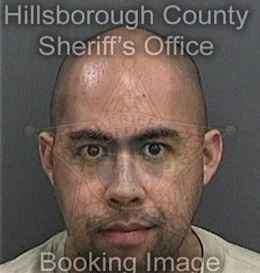 Travis Shaw, - Hillsborough County, FL 