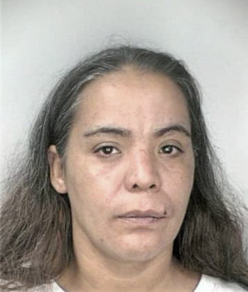 Cristina Vasquezgallardo, - Hillsborough County, FL 