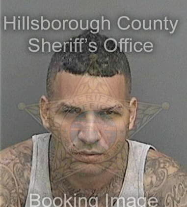 Adam Verlander, - Hillsborough County, FL 