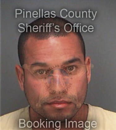 Michael Alvarado, - Pinellas County, FL 