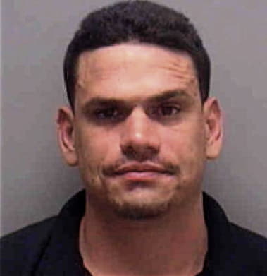 Joel Alvaro, - Lee County, FL 