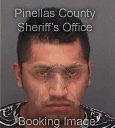 Jay Bickel, - Pinellas County, FL 