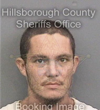 Tyler Brace - Hillsborough County, FL 
