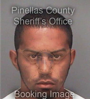 Lloyd Burkes, - Pinellas County, FL 