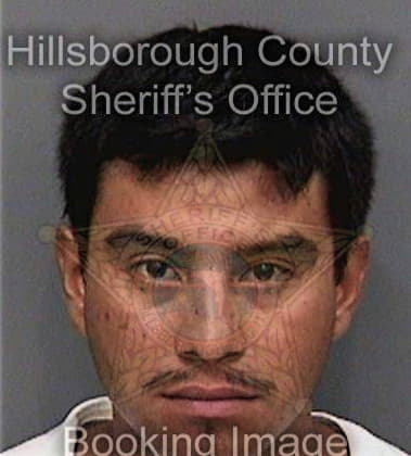 Jason Powell, - Hillsborough County, FL 