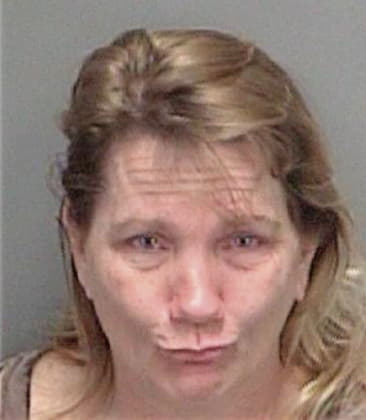 Michelle Bourque, - Pinellas County, FL 