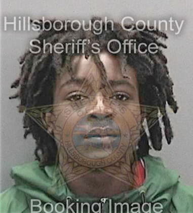 Raphael Davis, - Hillsborough County, FL 