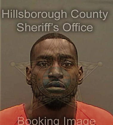 Hansel Higgs, - Hillsborough County, FL 