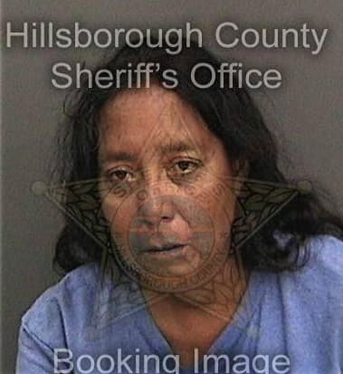 Nisha Partab, - Hillsborough County, FL 