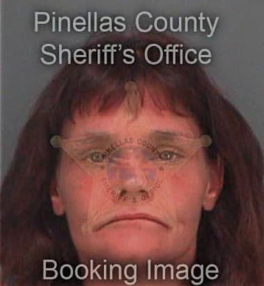 Amber Pokladnik, - Pinellas County, FL 