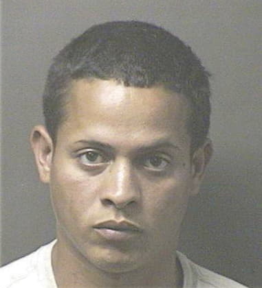 Francisco Romero-Tellez, - Lake County, FL 