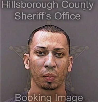 Oscar Valentin, - Hillsborough County, FL 