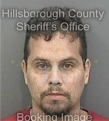 Timothy Walker, - Hillsborough County, FL 