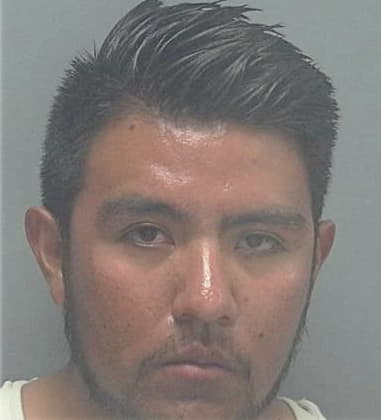 Robert Alejandro, - Lee County, FL 