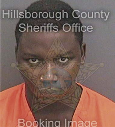 Henry Chriss - Hillsborough County, FL 