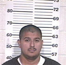 James Flores, - Hidalgo County, TX 