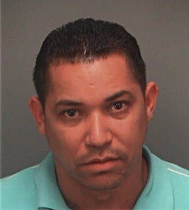 Carlos Garcia, - Pinellas County, FL 