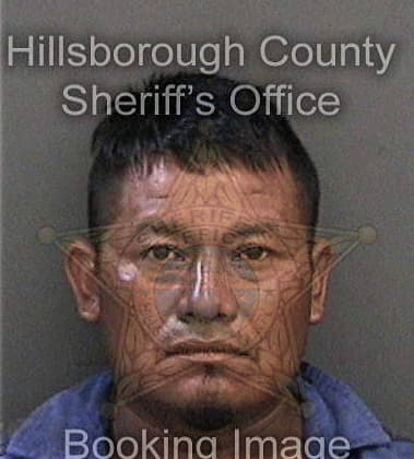 Jhonny Jimenezvazquez, - Hillsborough County, FL 