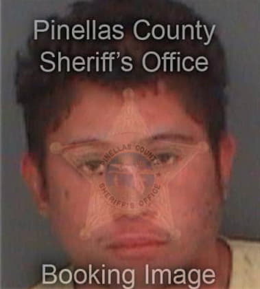 John Manzione, - Pinellas County, FL 